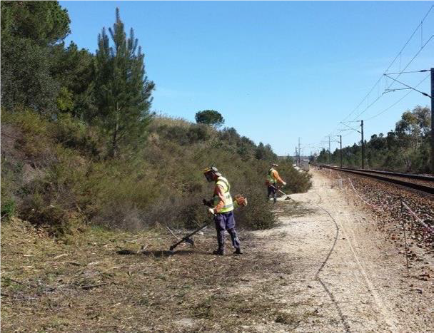 Defesa da Floresta contra incêndios