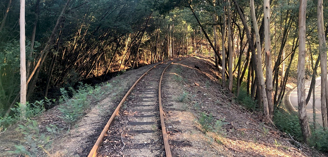 Reabilitação da superestrutura de via na Linha do Vouga: fotografia 1