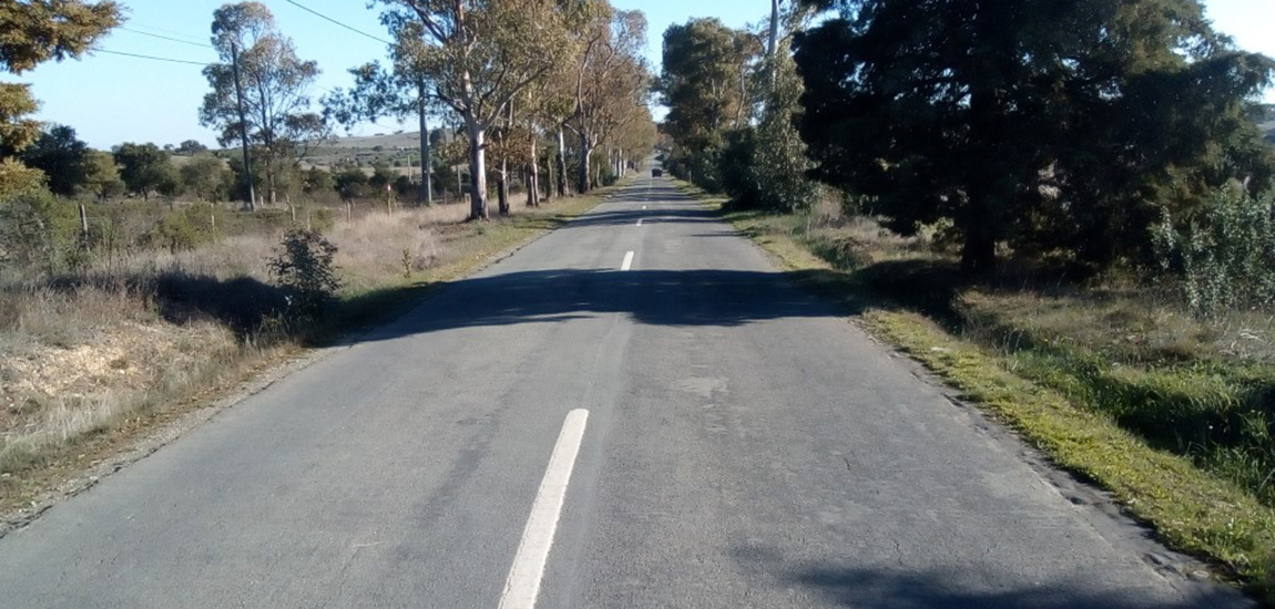 Pavimento a ser intervencionado na ER267 em Almodôvar: fotografia 2